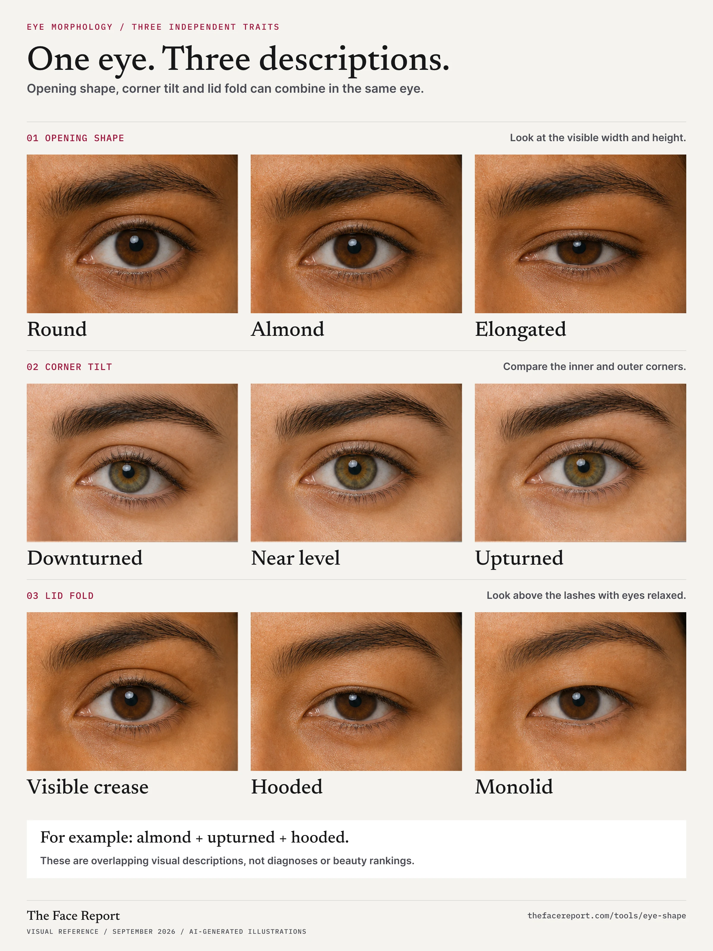Eye-shape reference chart separating three traits: round, almond and elongated openings; downturned, near-level and upturned corners; and visible crease, hooded and monolid upper lids. An eye can combine traits from different rows.